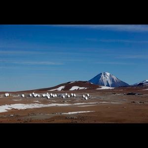 Meet your Posher, Albert